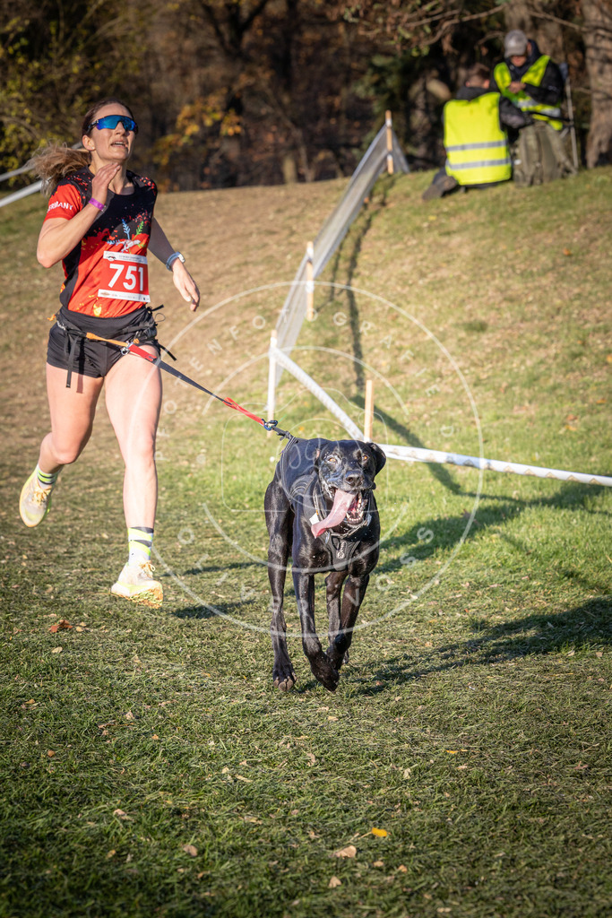 CaniXpix_0L8A9859 | Hundefotografie, Tierfotograf, Pfotenfotografie, Fotoshooting Hund, Hunde Portrait, Hundesport, Hundeportraits, Heideshooting, Hunde, Sportfotograf, Hundefotograf, Turnierhundsport, THS,  - Realisiert mit Pictrs.com
