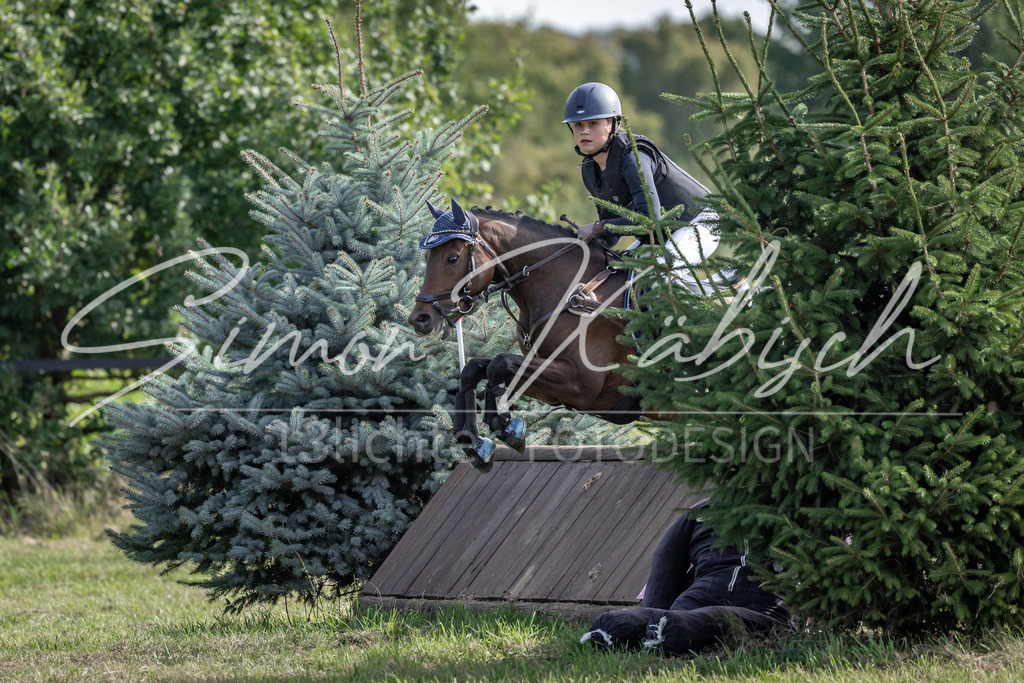 20250907-_3LI9527 | Tierfotografie Pferde, Hunde, Katzen, Haustiere.
Turnierfotografie Reitturniere, Reiten, Springreiten, Dressur in Hanau, dem Main-Kinzig-Kreis und dem Rhein-Main- Gebiet um Frankfurt