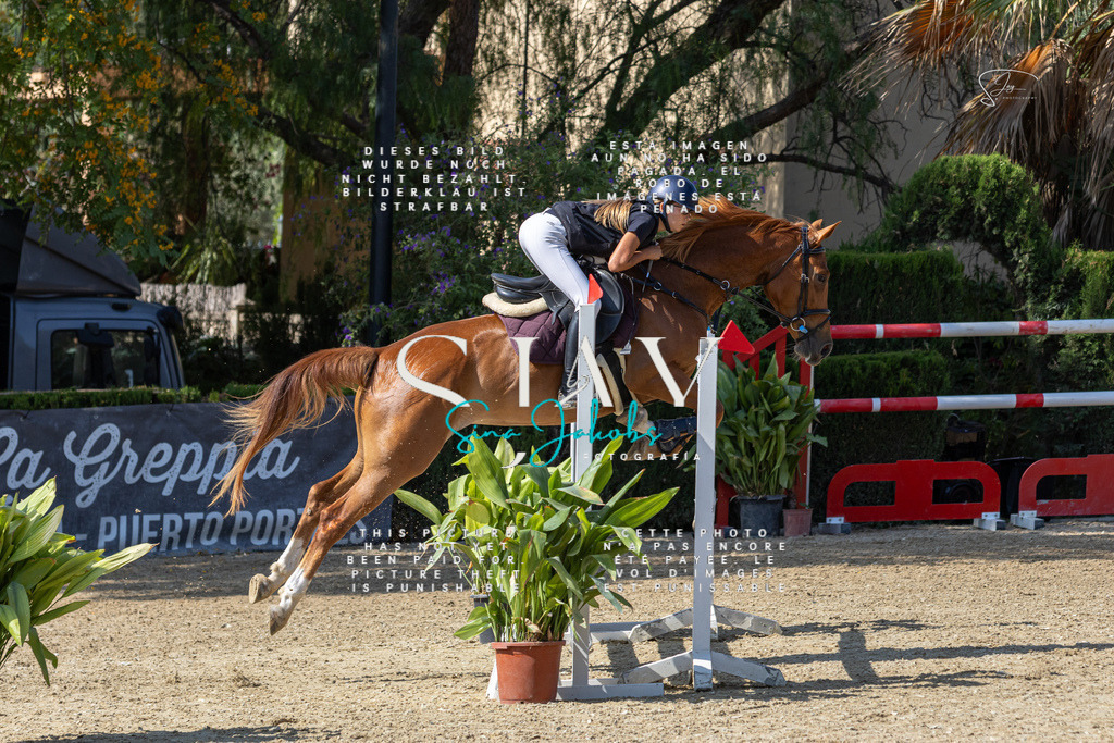 IMG_9535 | s-jay-photography - Realisiert mit Pictrs.com