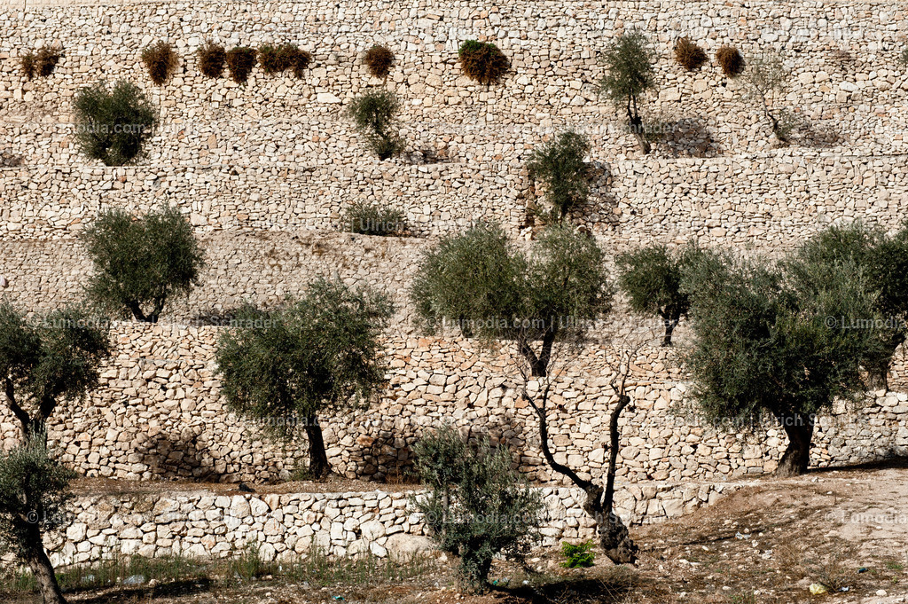 10972-10197 - Jerusalem | max. Bildgröße A3 | 300dpi - Realisiert mit Pictrs.com