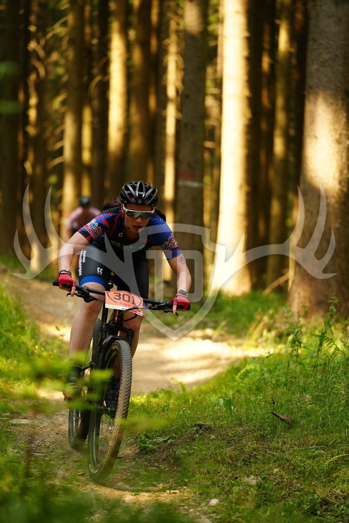 FC102995 | Fotogalerie der Treibjagd im Dunkelwald - Dein MTB Etappenrennen im Erzgebirge - Realisiert mit Pictrs.com