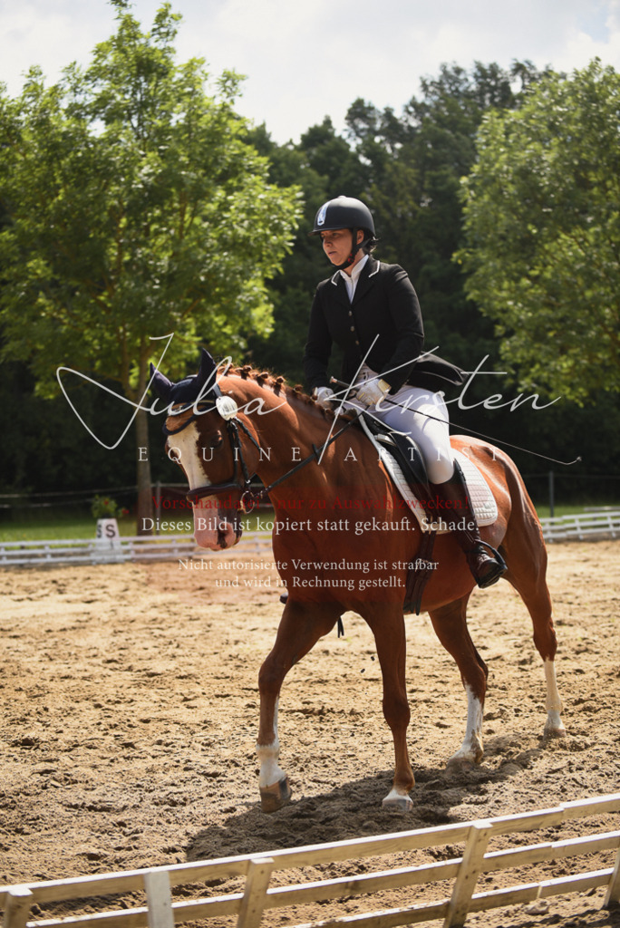 DSC_0880 | Pferde- und Turnierfotografie in Westsachsen. Pferdeportraits, Auftragszeichnungen und intuitive Kunst.