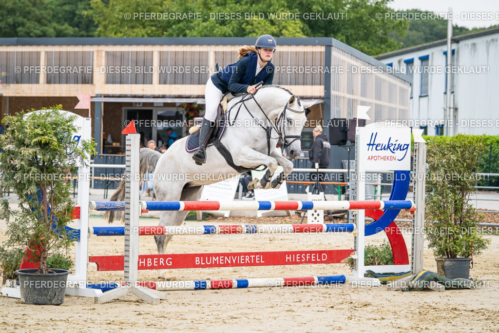 DSC09713 | Pferdegrafie