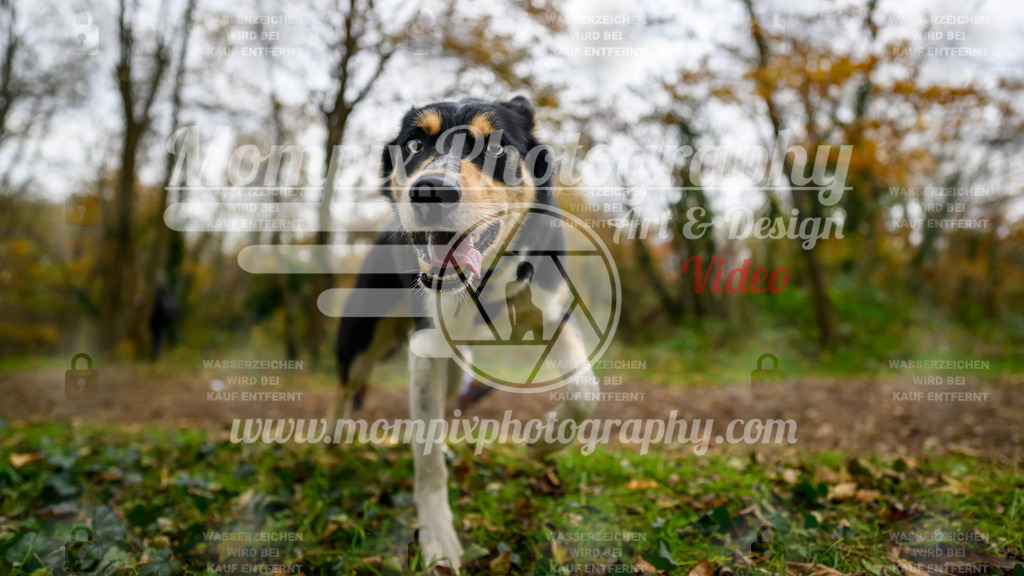 MompixPhotography_Bischwiller24_DI_CoursedeRelais-66 | PayLife