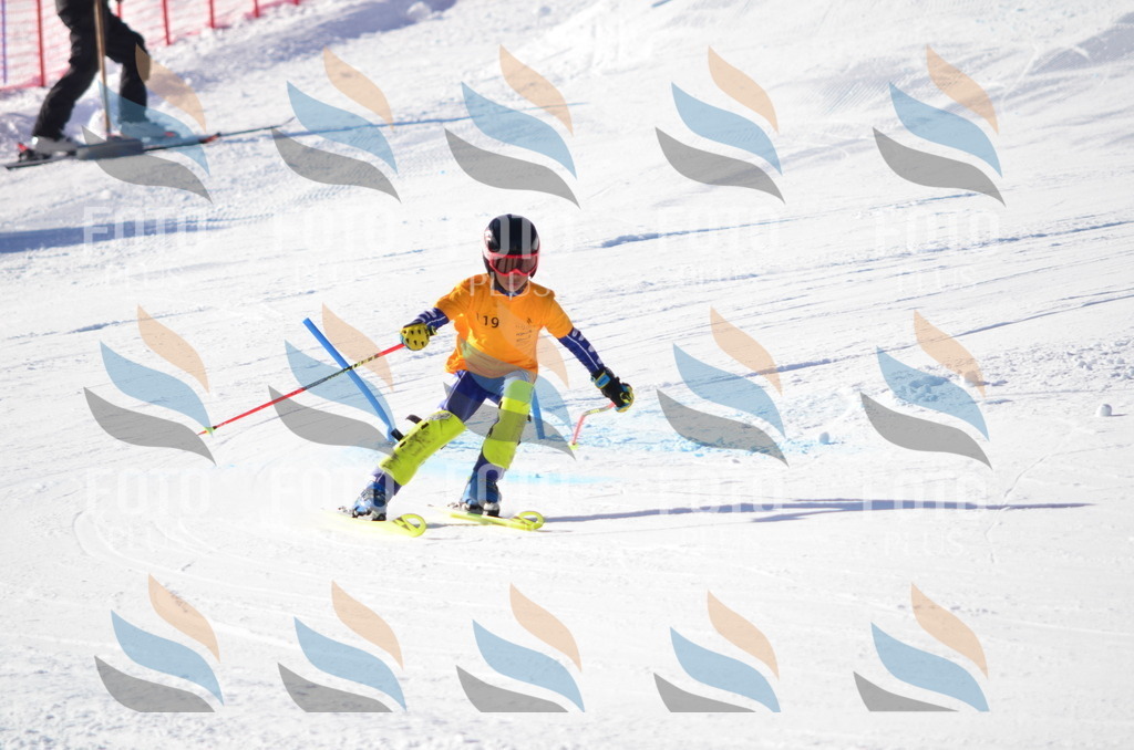 C6341 | holidayphoto