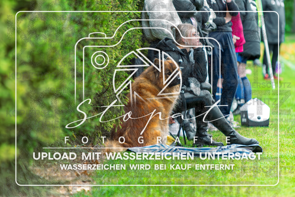 SGNSGF-1008 | Zuschauer beim Damen Kreisliga HK/CE Spiel zwischen SG Nordheide und SG Fulde im Sportplatz Vethem, Vethem (Simon Paul Stopat) - Realisiert mit Pictrs.com