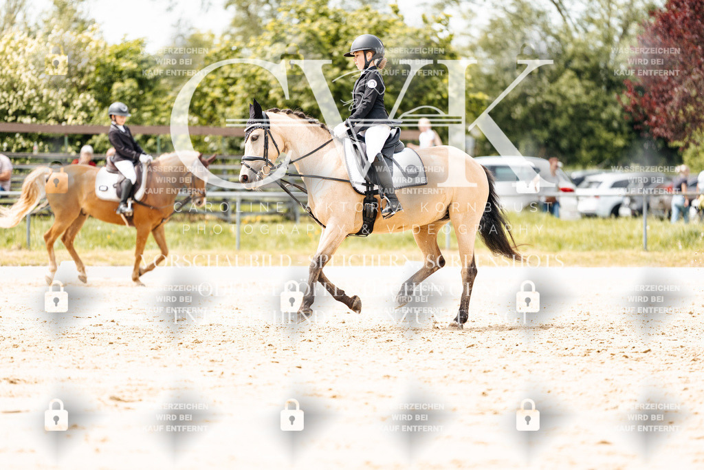 CK902581 | Turnierfotografie Pferdefotografie Trier Rheinland-Pfalz Pferdesport Reitsport Tierfotografie Sportfotografie Pferdevideo Pferdevideografie Equestrianvideography equestrianphotography  - Realisiert mit Pictrs.com