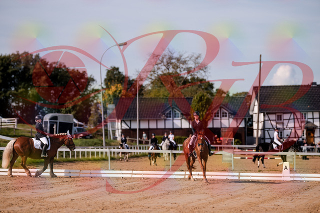 2026_10_03_Siefer-Hof_114456_Z81_87870929 | Professionelle Reitsport-, Turnier- und Eventfotografie von Robert Broda. Galerien mit ausgewählten und bearbeiteten Bildern direkt online ansehen und bestellen.