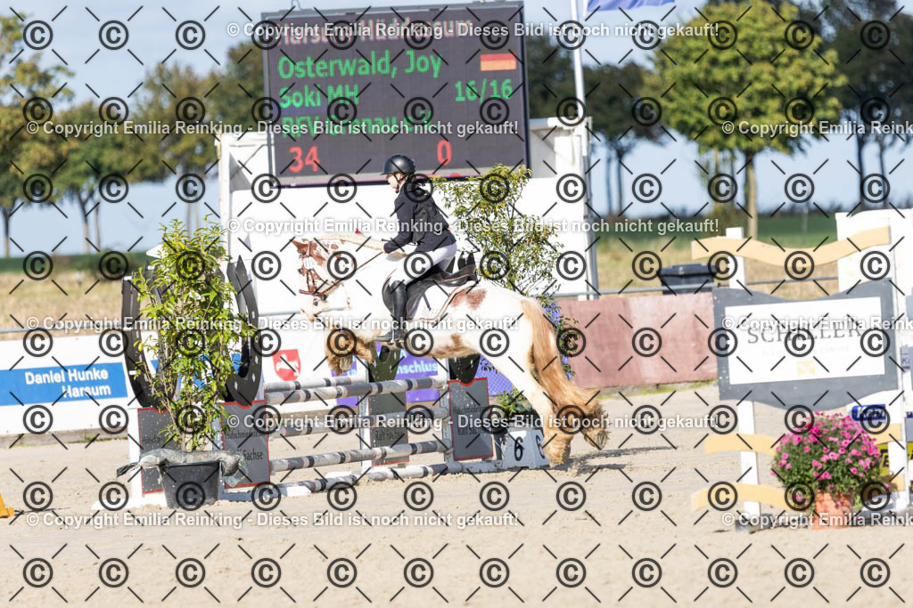 CL5A4203 | Emilia Reinking Fotografie - Realisiert mit Pictrs.com