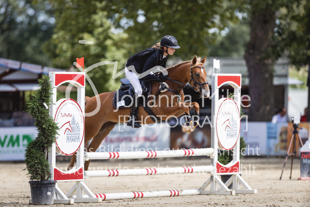 230826_Delbrueck_Stil-E-768 | Deine schönsten Turniermomente als professionelle Fotos! Entdecke hochwertige Pferdesport-Fotografie im Online-Shop. Jetzt Fotos finden & bestellen!