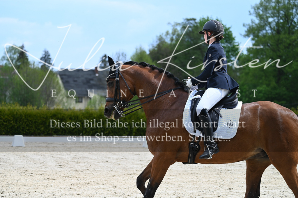 20230512_JK-Röhrsdorf-05-071 | Pferde- und Turnierfotografie in Westsachsen. Pferdeportraits, Auftragszeichnungen und intuitive Kunst.