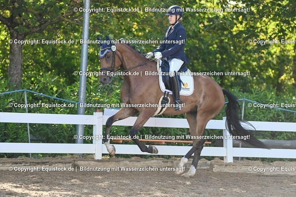 20230715_06_Dressurpferdeprfg. Kl.A_0215 | equistock