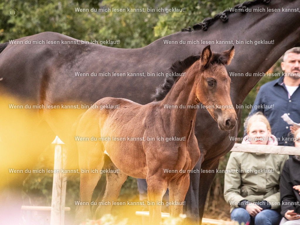 A10I6030 | photographylinaismer - Realisiert mit Pictrs.com