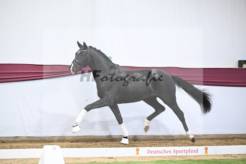 Kat-Nr. 50 Energy x Sezuan_Wilhelm u. Marvin Klausing GbR_47251876 | hf-fotografie - Realisiert mit Pictrs.com