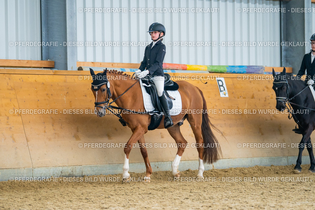 DSC01409 | Pferdegrafie