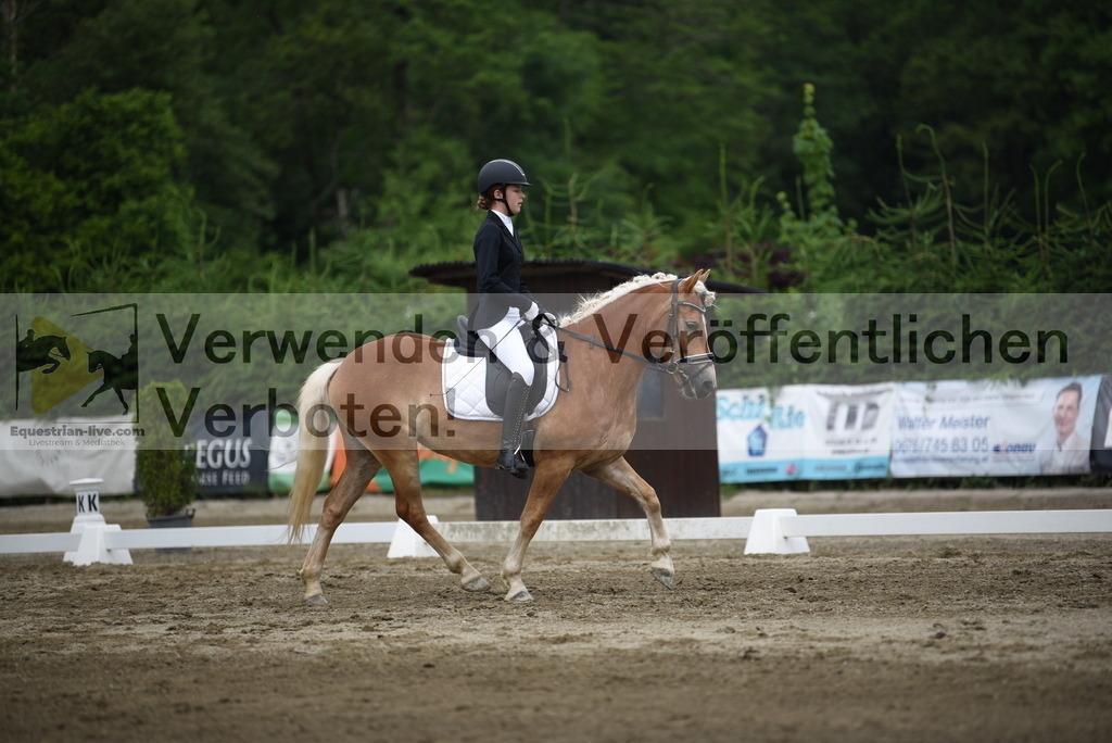 DSC_8120 | equestrian-live-com
