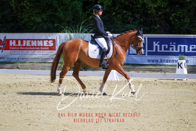 DKP41971 | Turniersportfotografie; Pferdefotografie; Dressurfotografie