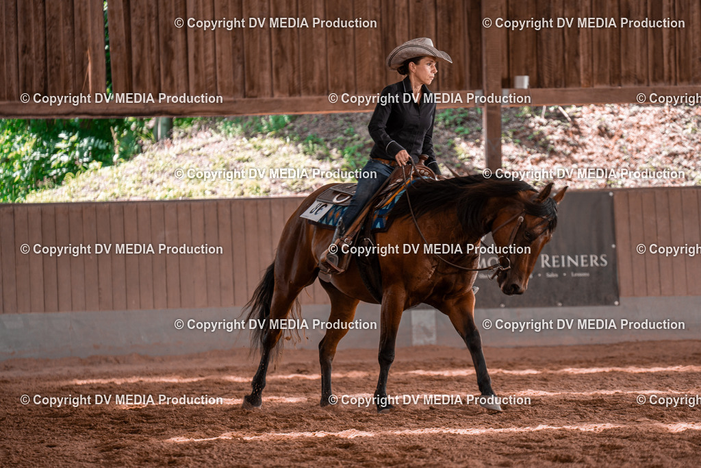 NE100562 | dv-media-shop - Realisiert mit Pictrs.com