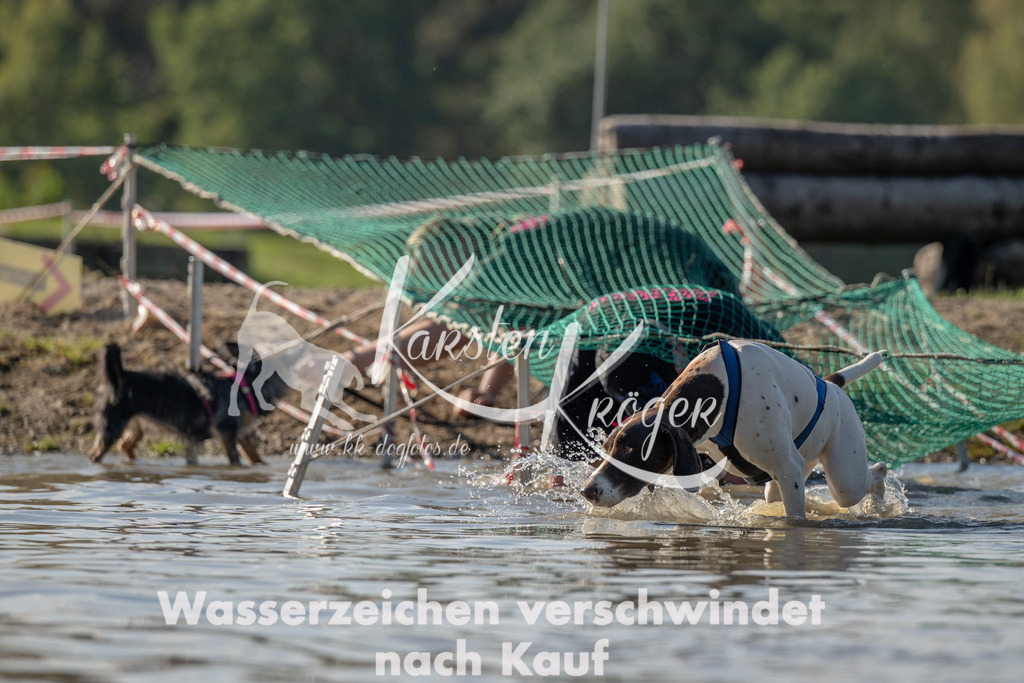 1418_ZZ92179 | kk-dogfotos