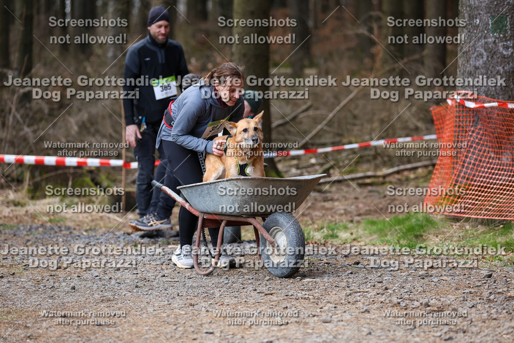 Dog Paparazzi - VCC26-728 | Dog Paparazzi Jeanette Grottendiek Fotografie & Videografie - Realisiert mit Pictrs.com