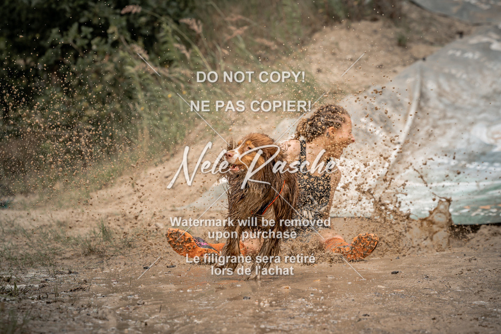 nelerasche_sa1300-1345_491 | nelerasche