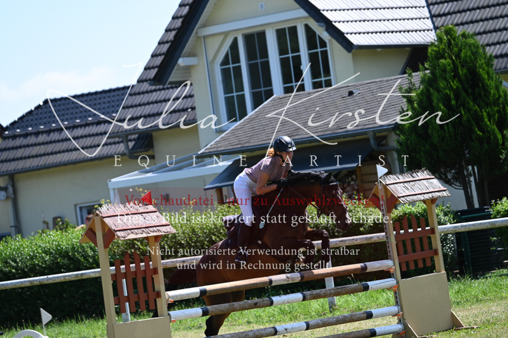DSC_0784 | Pferde- und Turnierfotografie in Westsachsen. Pferdeportraits, Auftragszeichnungen und intuitive Kunst.