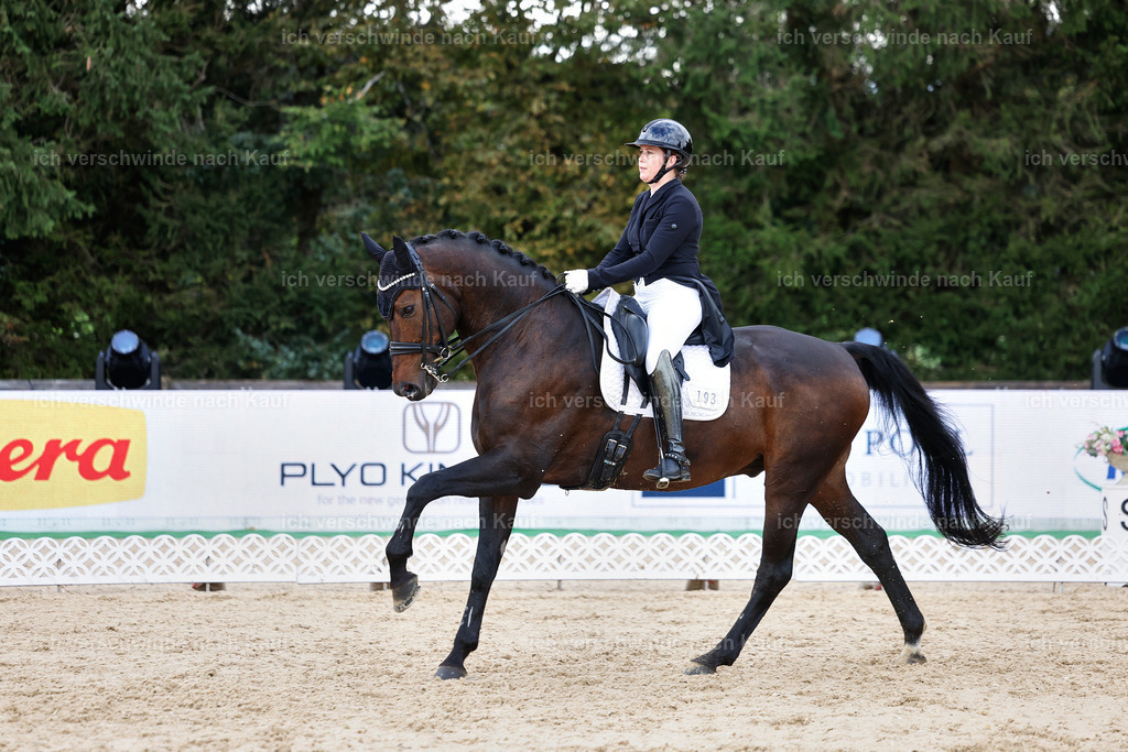 10-193-ST.GEORG SPECIAL -StoibPH-3254 | working equitationturnier fotograf videograf stoibphotography marixx film working equitation deutschland reitsport turnierfotografie eventfotografie equestrian events