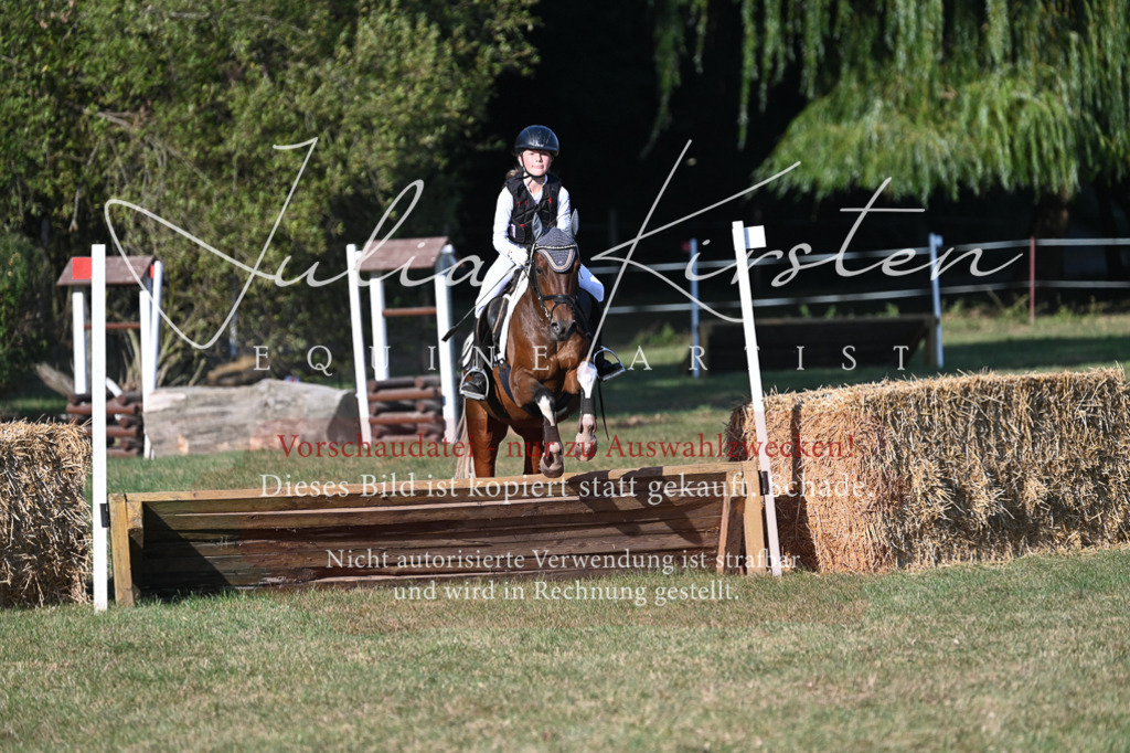 DSC_8991 | Pferde- und Turnierfotografie in Westsachsen. Pferdeportraits, Auftragszeichnungen und intuitive Kunst.