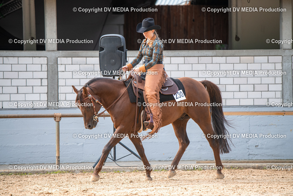 EWP_5690 | dv-media-shop - Realisiert mit Pictrs.com