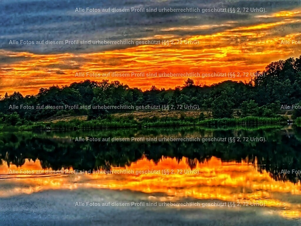 IMG_1530(1)_3 | krollfotografie - Realisiert mit Pictrs.com