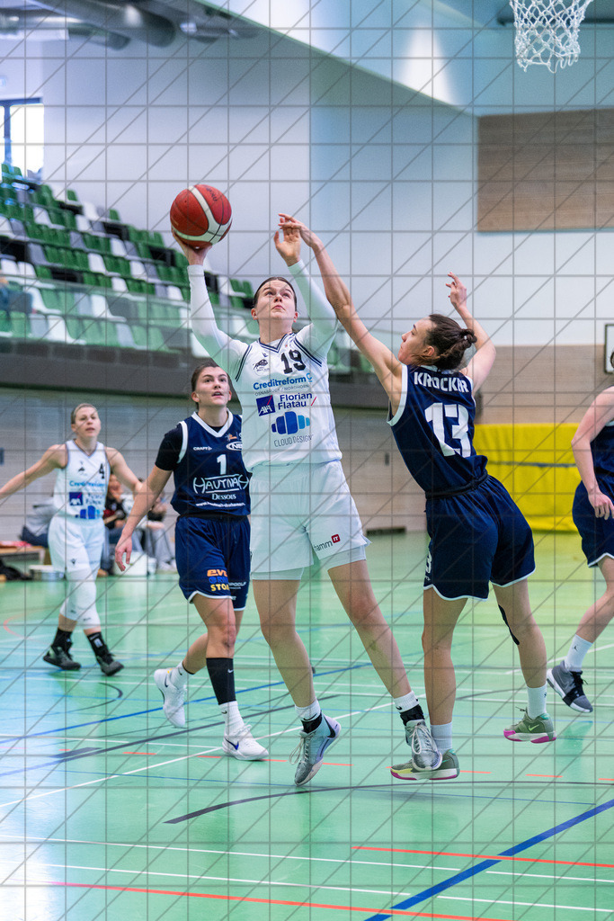 2. DBBL Nord 24/25 | 02.03.2025 | BBC OS vs. New Basket Oberhausen | 2. DBBL Nord 24/25 | 02.03.2025 | BBC OS vs. New Basket Oberhausen - - - - - CREDIT, www.bullenfotos.de, Martin König, Hörner Weg 40, D-49078 Osnabrück, +4917663732967, Nutzung und Weitergabe nur zu den vereinbarten Zwecken. Presseanfragen an Urheber. Alle Rechte beim Urheber. - - - - - - Realisiert mit Pictrs.com