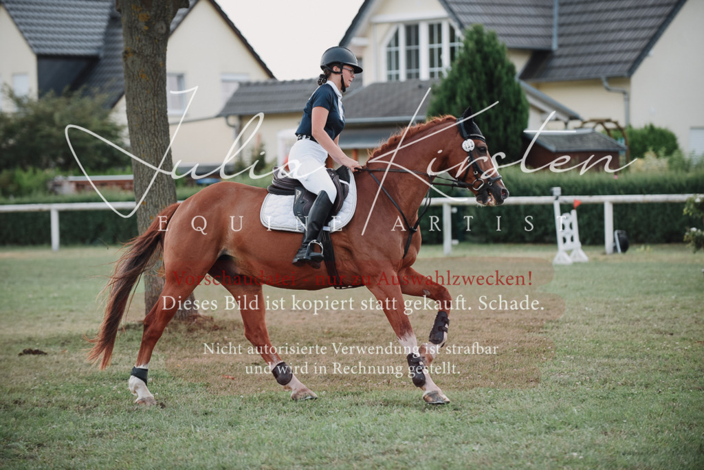 DSC_5621 | Pferde- und Turnierfotografie in Westsachsen. Pferdeportraits, Auftragszeichnungen und intuitive Kunst.
