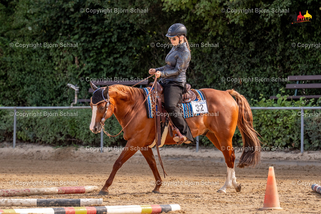 LMS07862 | BS-foto
