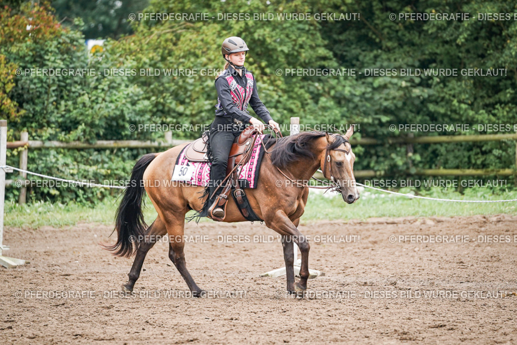 DSC02504 | Pferdegrafie