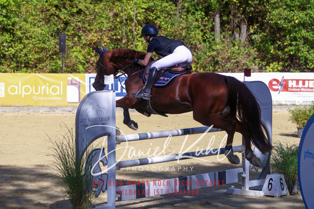 DKP43363 | Turniersportfotografie; Pferdefotografie; Dressurfotografie