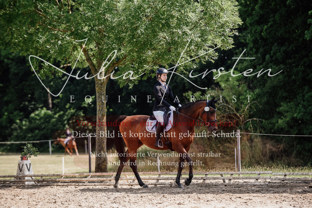 DSC_0453 | Pferde- und Turnierfotografie in Westsachsen. Pferdeportraits, Auftragszeichnungen und intuitive Kunst.