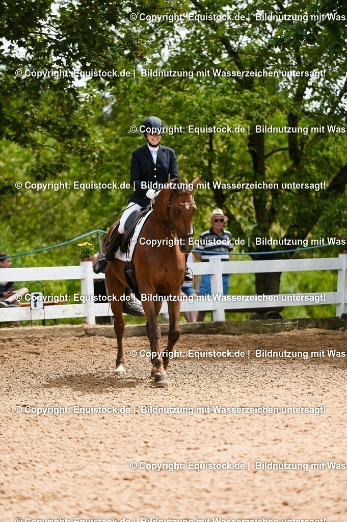 20230716_03_Dressurprfg. Kl.L - Tr._0398 | equistock