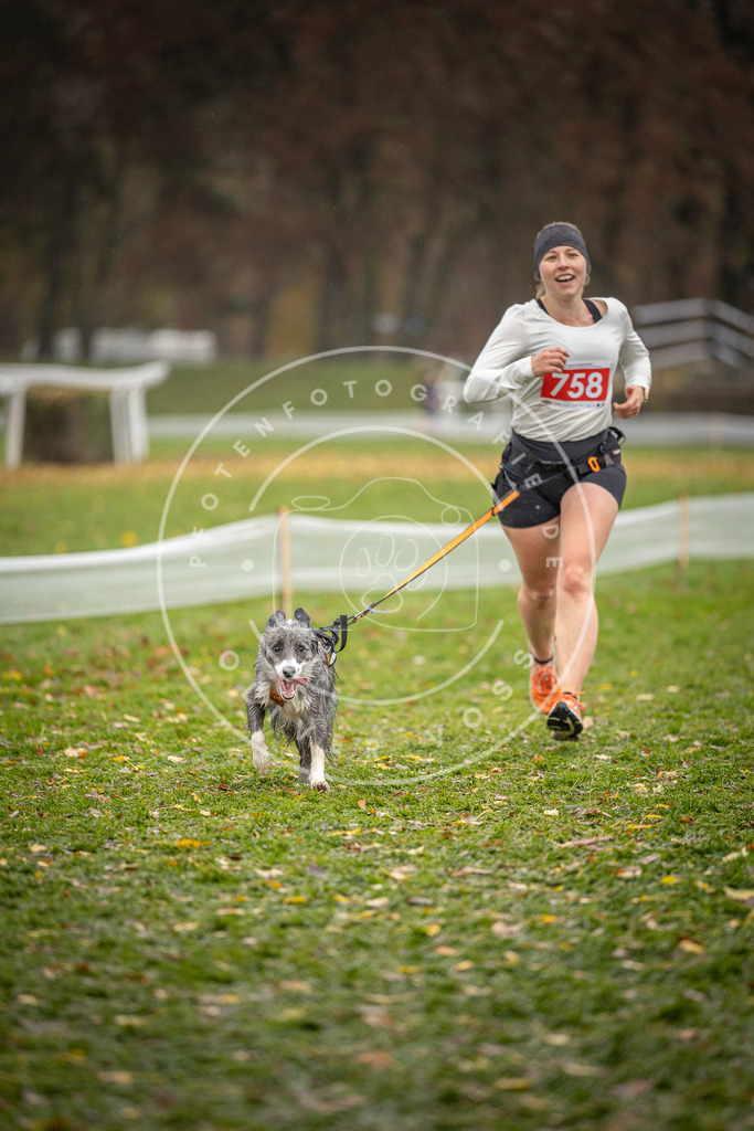 CaniXpix_DV3A9534 | Hundefotografie, Tierfotograf, Pfotenfotografie, Fotoshooting Hund, Hunde Portrait, Hundesport, Hundeportraits, Heideshooting, Hunde, Sportfotograf, Hundefotograf, Turnierhundsport, THS,  - Realisiert mit Pictrs.com