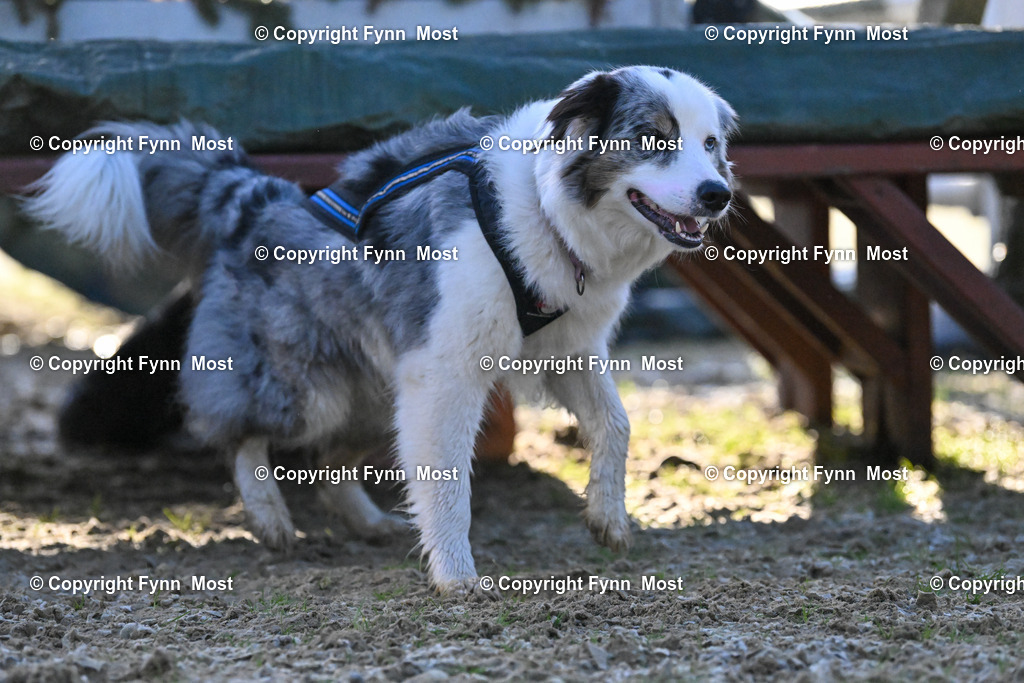 DSC_2153 | Hallo und herzlich Willkommen auf meiner Shop-Seite Fynn Most.

Ich wünsche Dir viel Spaß beim stöbern durch die Bilder, wenn Du Fragen hast oder Bilder vermisst, kannst du mir gerne eine Nachricht schreiben. - Realisiert mit Pictrs.com