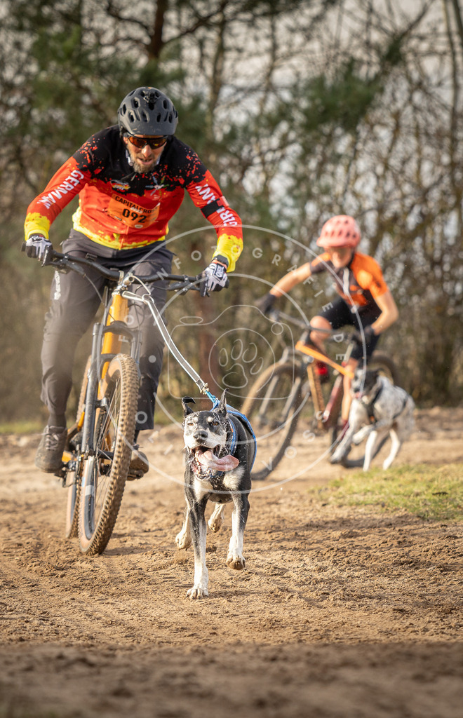 Pfotenfotografie_DV3A7548 | Hundefotografie, Tierfotograf, Pfotenfotografie, Fotoshooting Hund, Hunde Portrait, Hundesport, Hundeportraits, Heideshooting, Hunde, Sportfotograf, Hundefotograf, Turnierhundsport, THS,  - Realisiert mit Pictrs.com