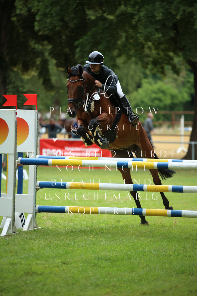 IMGM4182 | pl-fotografie