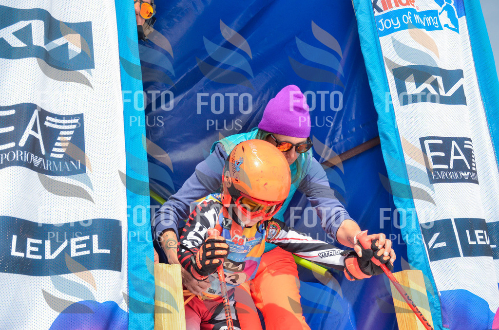 _ELE7327 | holidayphoto