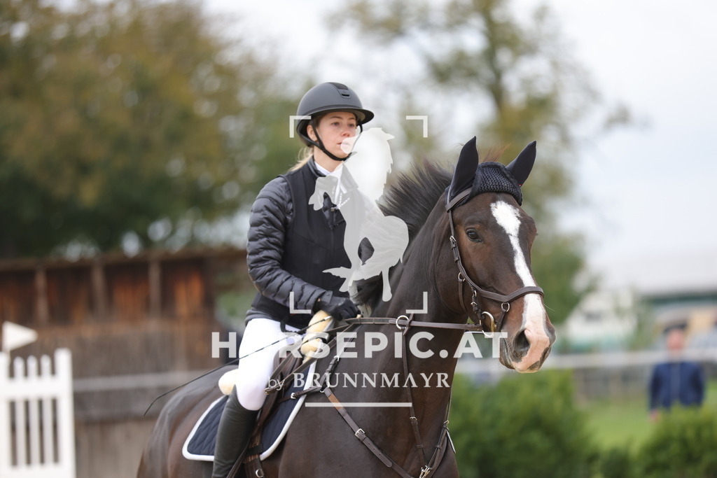 0P6A2541 | Willkommen bei Brunnmayr - Design & Fotografie – Ihrem Spezialisten für Reitturniere und Pferdeveranstaltungen in Oberösterreich, Salzburg und Bayern! Seit über 17 Jahren sind wir leidenschaftlich dabei.