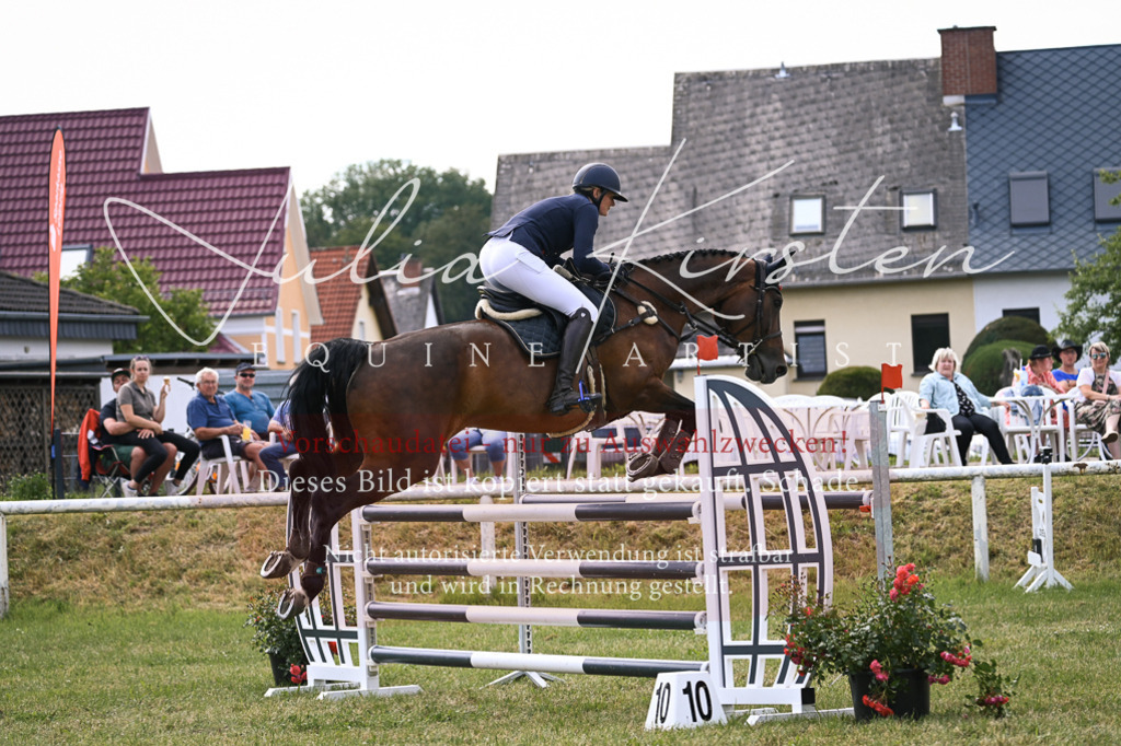 DSC_0808 | Pferde- und Turnierfotografie in Westsachsen. Pferdeportraits, Auftragszeichnungen und intuitive Kunst.