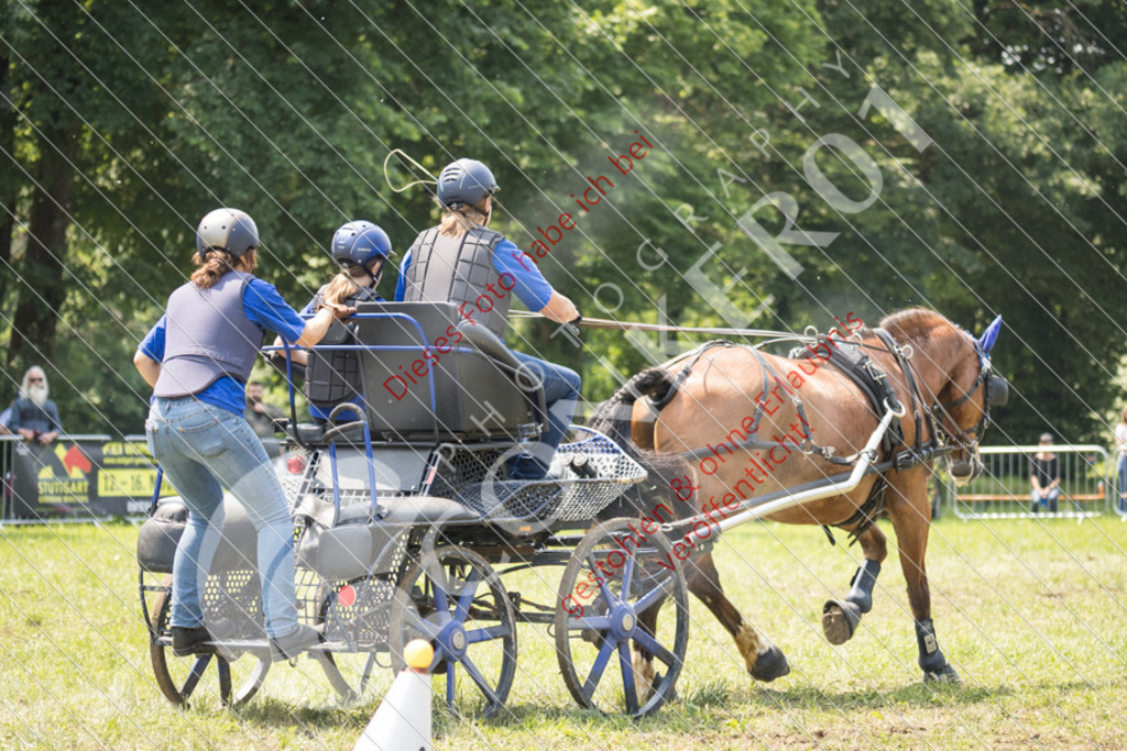 IMG_8670 | Sport-, Event- und Tierfotos in Profiqualität. Einfach auswählen, bestellen und herunterladen. Dein Moment – perfekt festgehalten.
