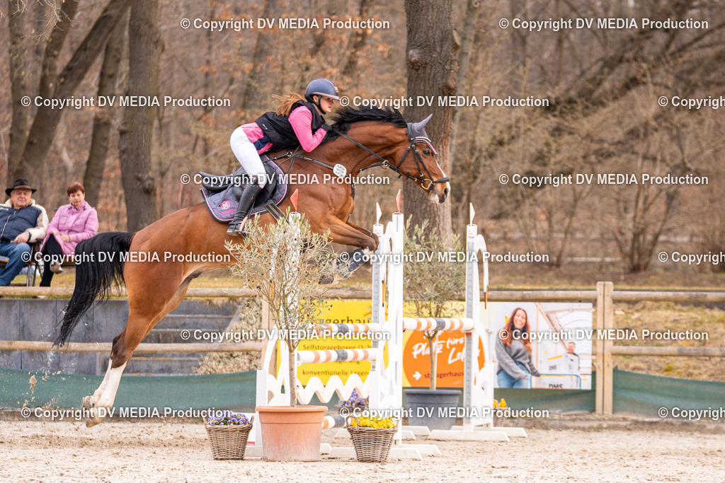 Kranichstein Tag 2-1321 | dv-media-shop - Realisiert mit Pictrs.com