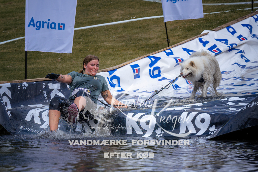 _ZZ904810900 | kk-dogfotos