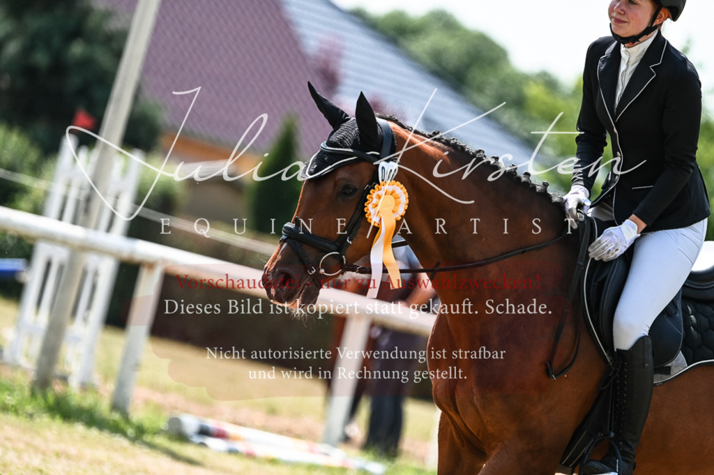 DSC_9532 | Pferde- und Turnierfotografie in Westsachsen. Pferdeportraits, Auftragszeichnungen und intuitive Kunst.