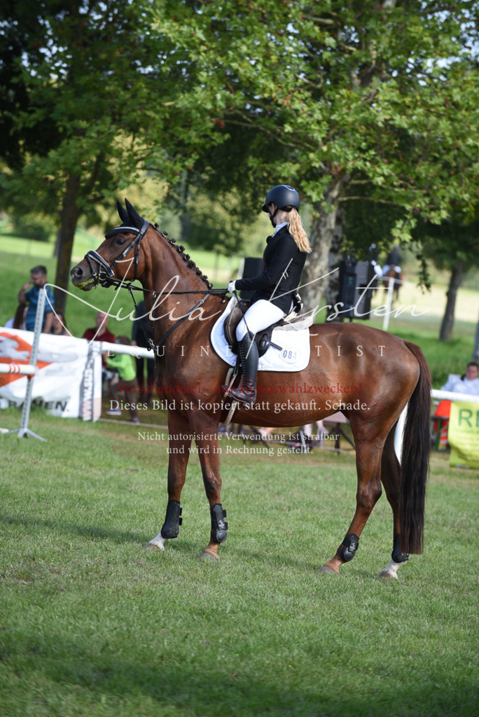 DSC_9164 | Pferde- und Turnierfotografie in Westsachsen. Pferdeportraits, Auftragszeichnungen und intuitive Kunst.