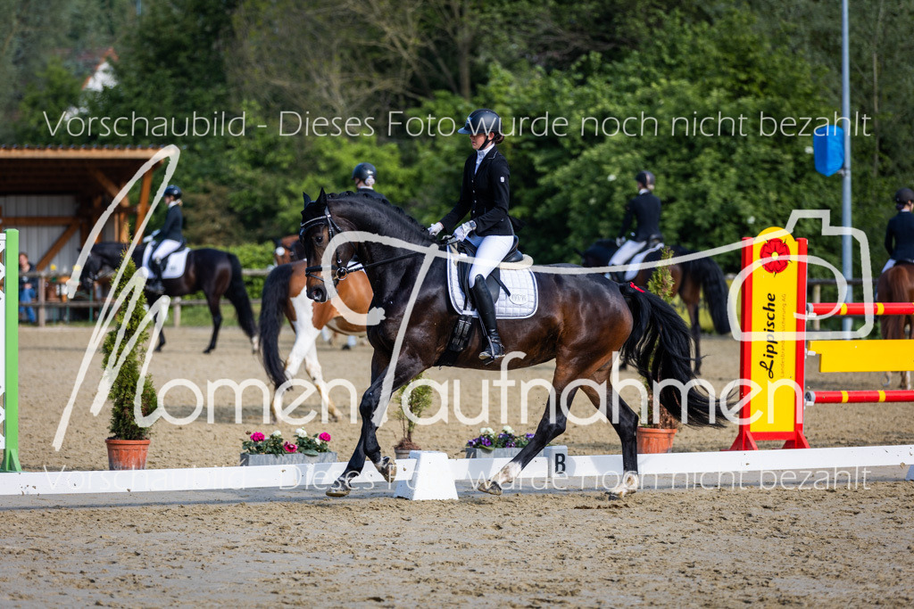 Donop24-A-Dre-066 | MomenTaufnahmen Pferdesportfotos